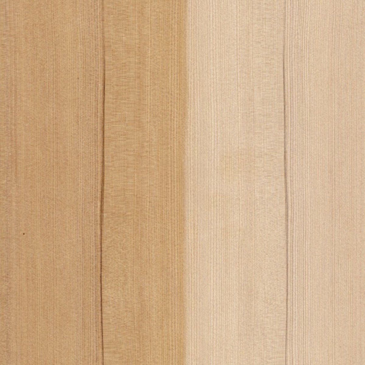 RoHol Панель Sauna-Ply 16 мм Канадская ель (Хемлок) 1,25×2,5 м фотография