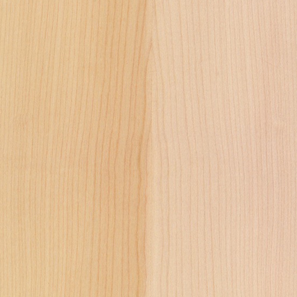 RoHol Панель Sauna-Ply 16 мм Клен Сикоморе 1,0×1,0 м фотография