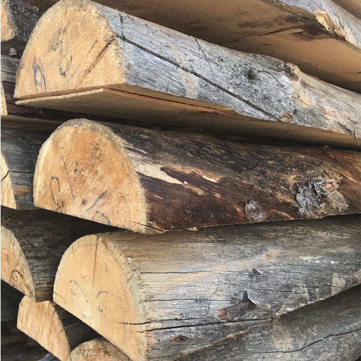 Полубревно из сухостойной сосны Кело 4000 мм фотография