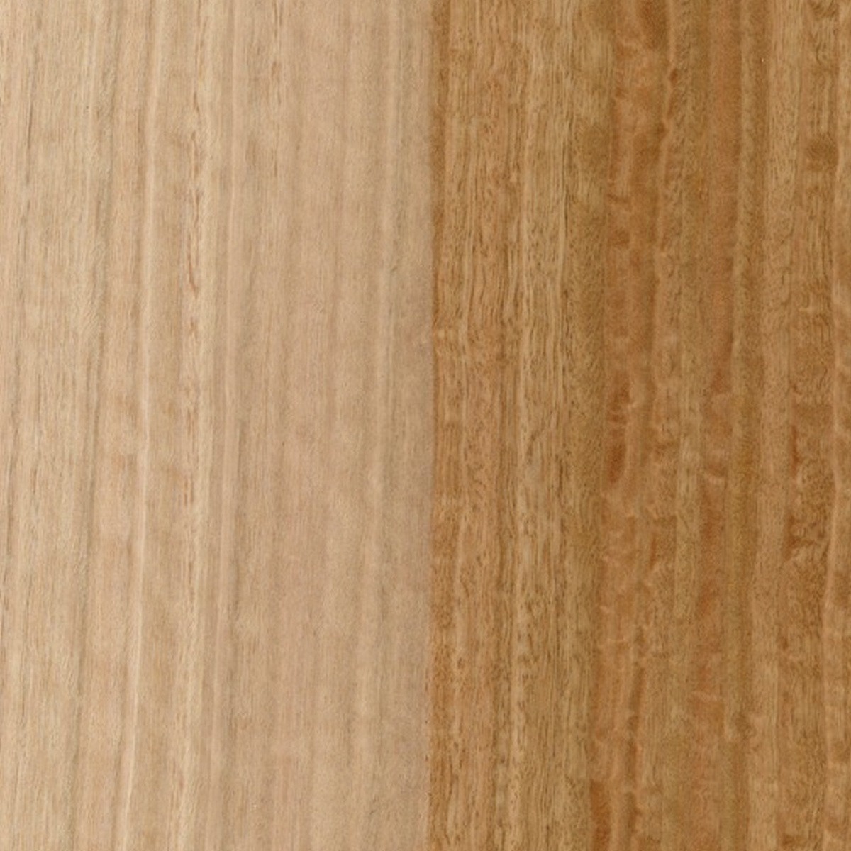 RoHol Панель Sauna-Ply 16 мм Эвкалипт 1,25×2,5 м фотография