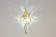 Светильник Kihla Led 0,5 Вт золото фотография