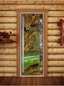 Стеклянная дверь для бани и сауны Престиж с фотопечатью А089 1900x700 мм (по коробке) фотография