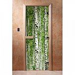 Стеклянная дверь для бани с фотопечатью A084 1900х700 мм (по коробке) фото товара