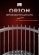 Электрическая печь SAWO ORION ORN-105NS-G-P (10,5 квт, выносной пульт, нержавейка, напольная) фотография