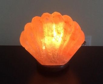 Лампа из гималайской соли в форме ракушки с диммером фотография