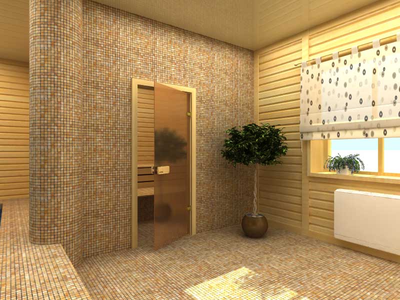 Стеклянные двери для бани Стеклянные двери для бани